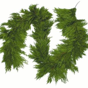 15' Western Red Cedar Garland - PICKUP ONLY